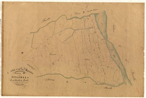 Pinatella. - Plan de section, M2