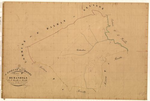 Demandols. - Plan de section, P1