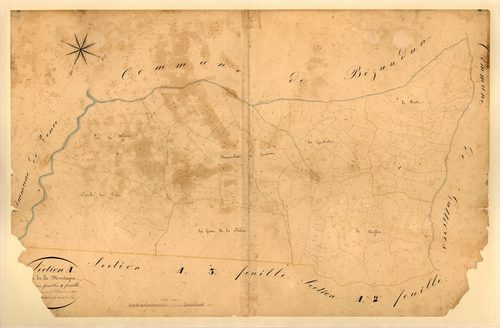 La Montagne. - Plan de section, A1