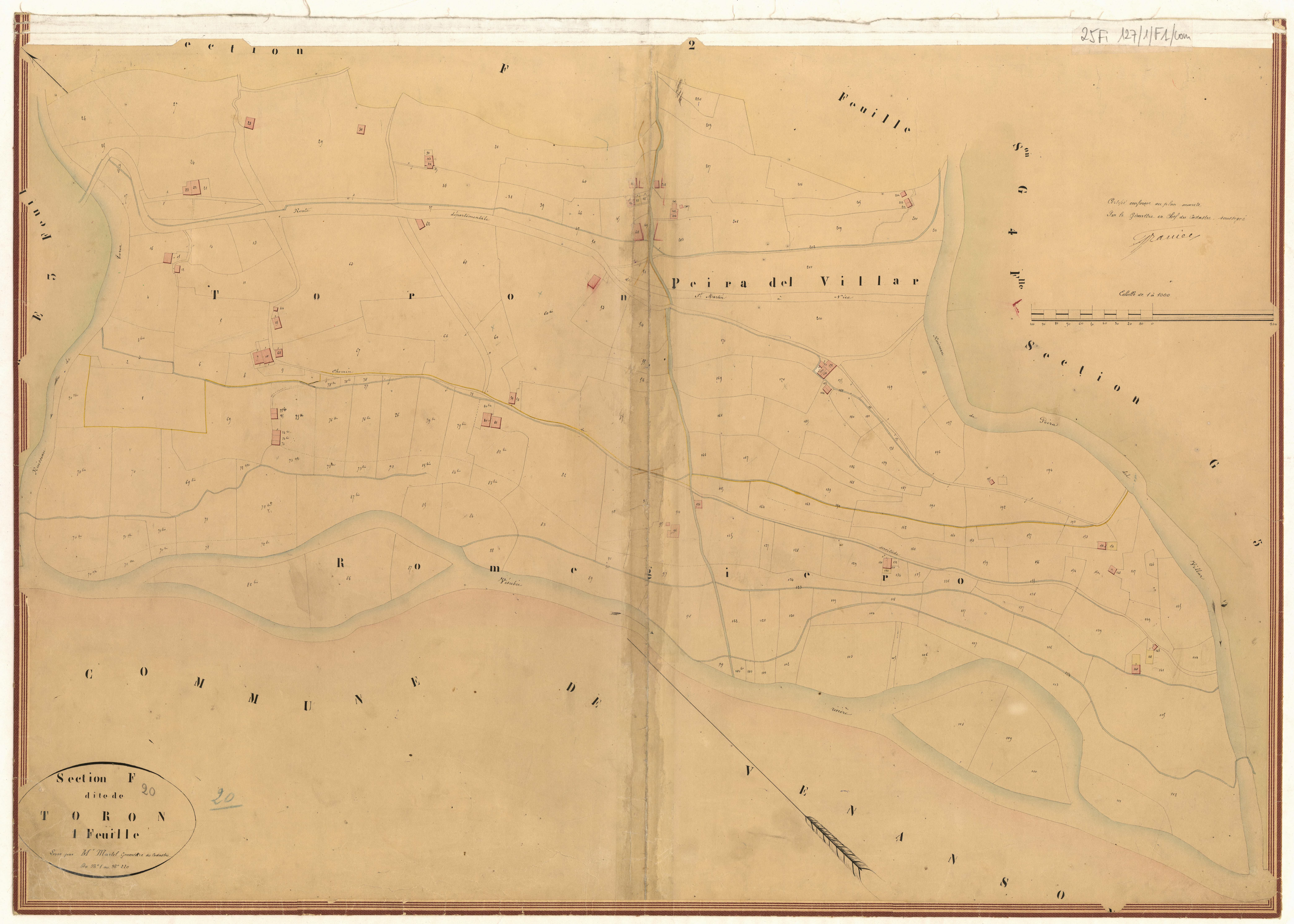 Toron. - Plan de section, F1