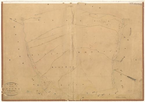Couana. - Plan de section, D4