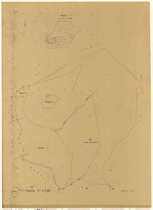 Plan de section, LVIII