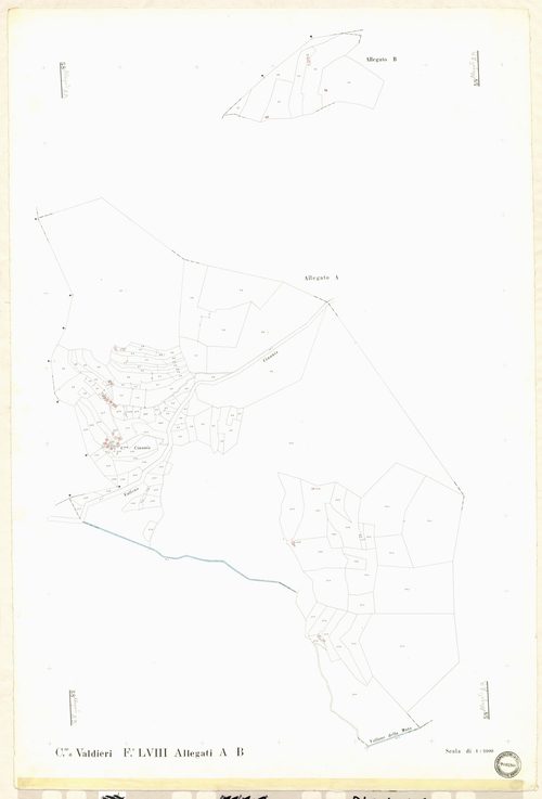 (développement). - Plan de section, LVIII(d)