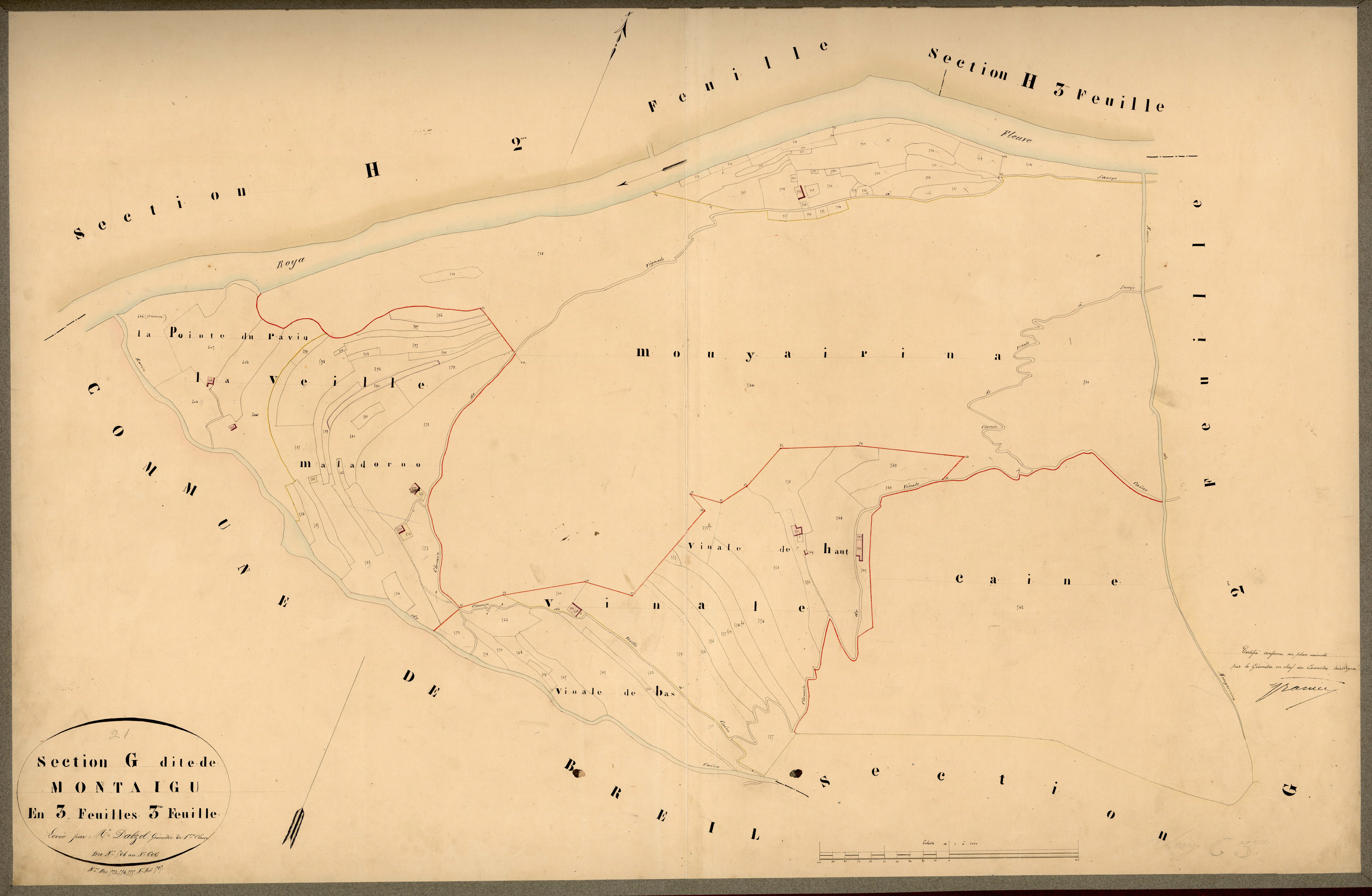 Montaigu. - Plan de section, G3