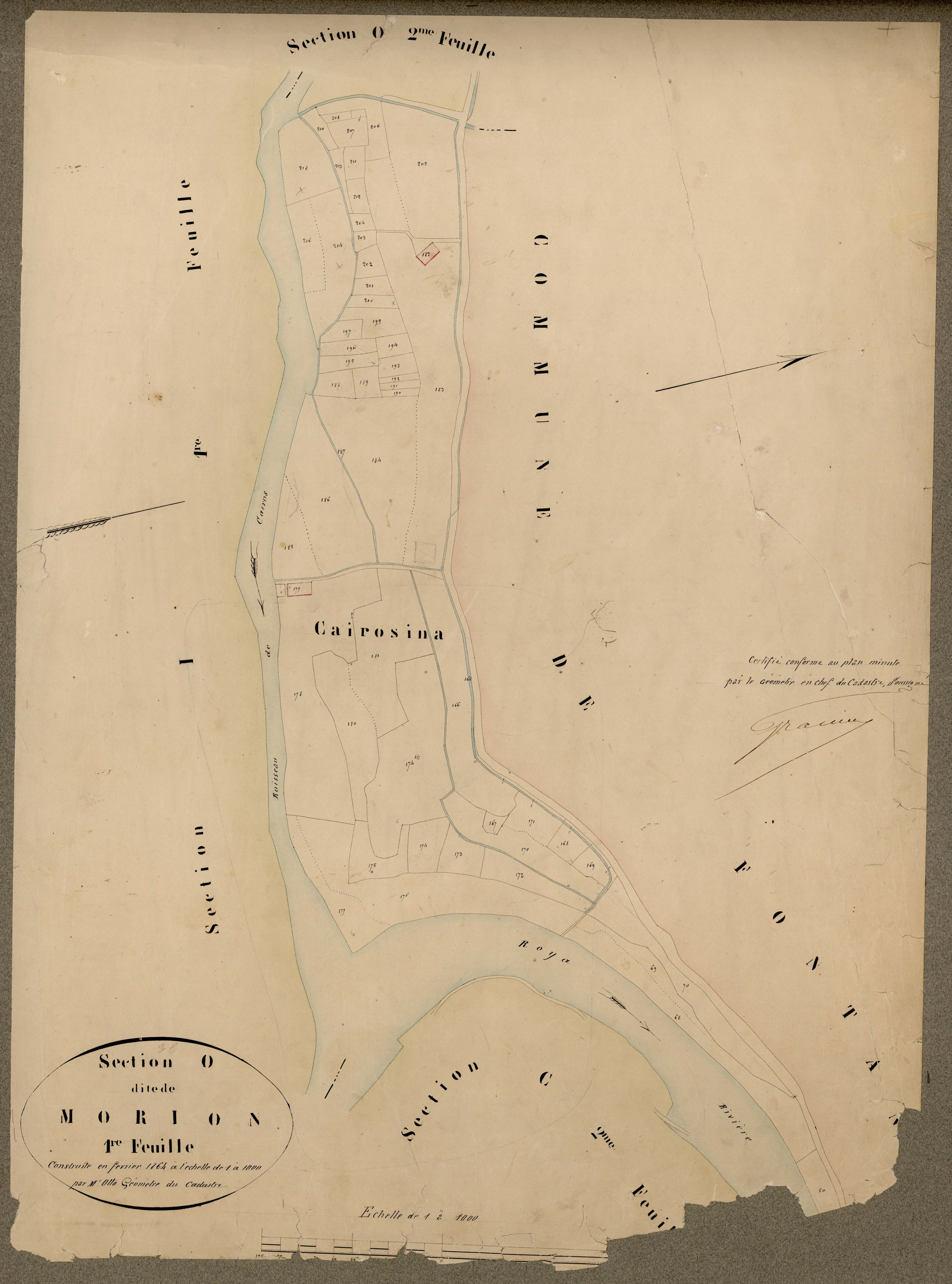 Morion. - Plan de section, O1