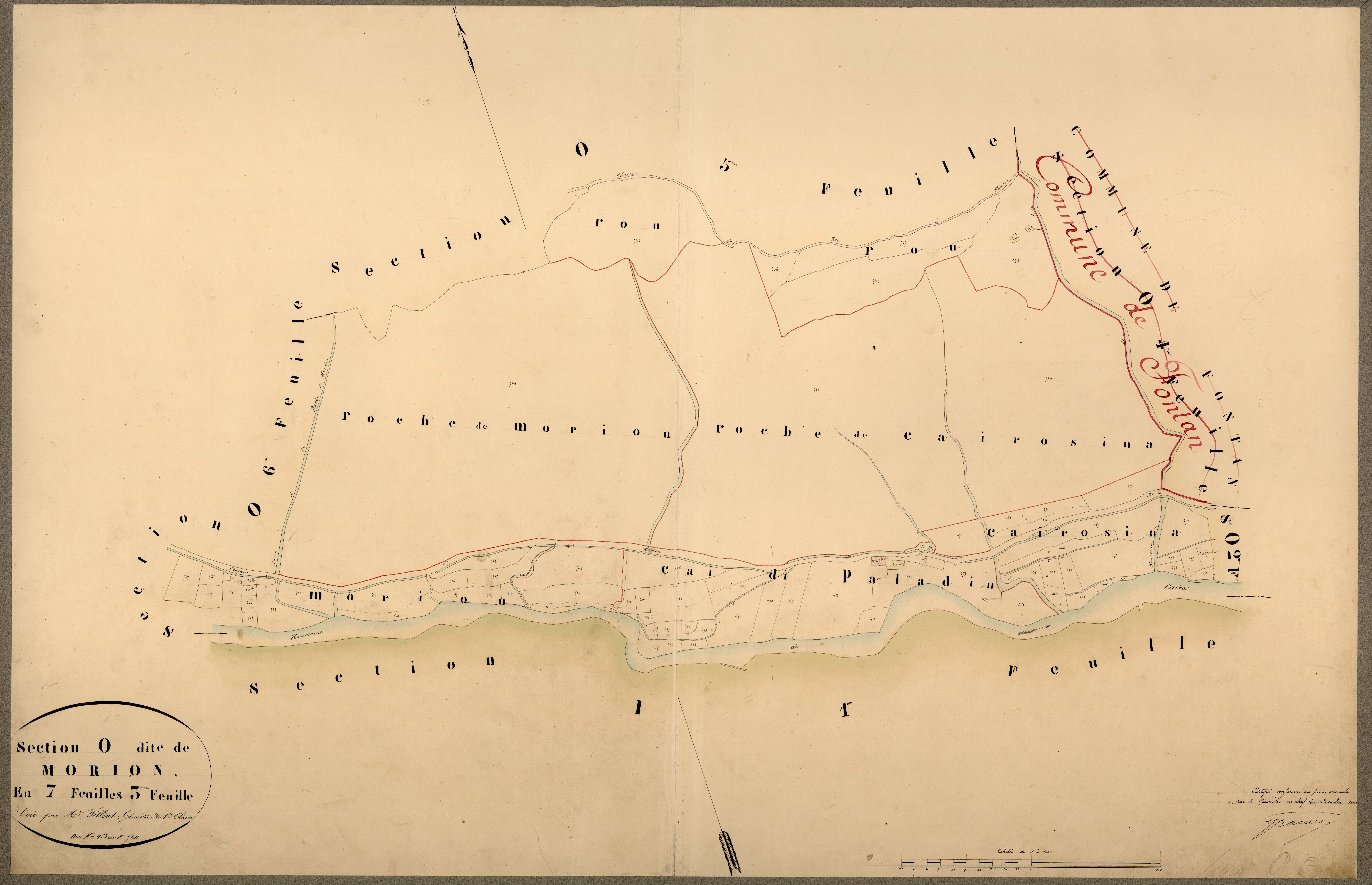 Morion. - Plan de section, O3