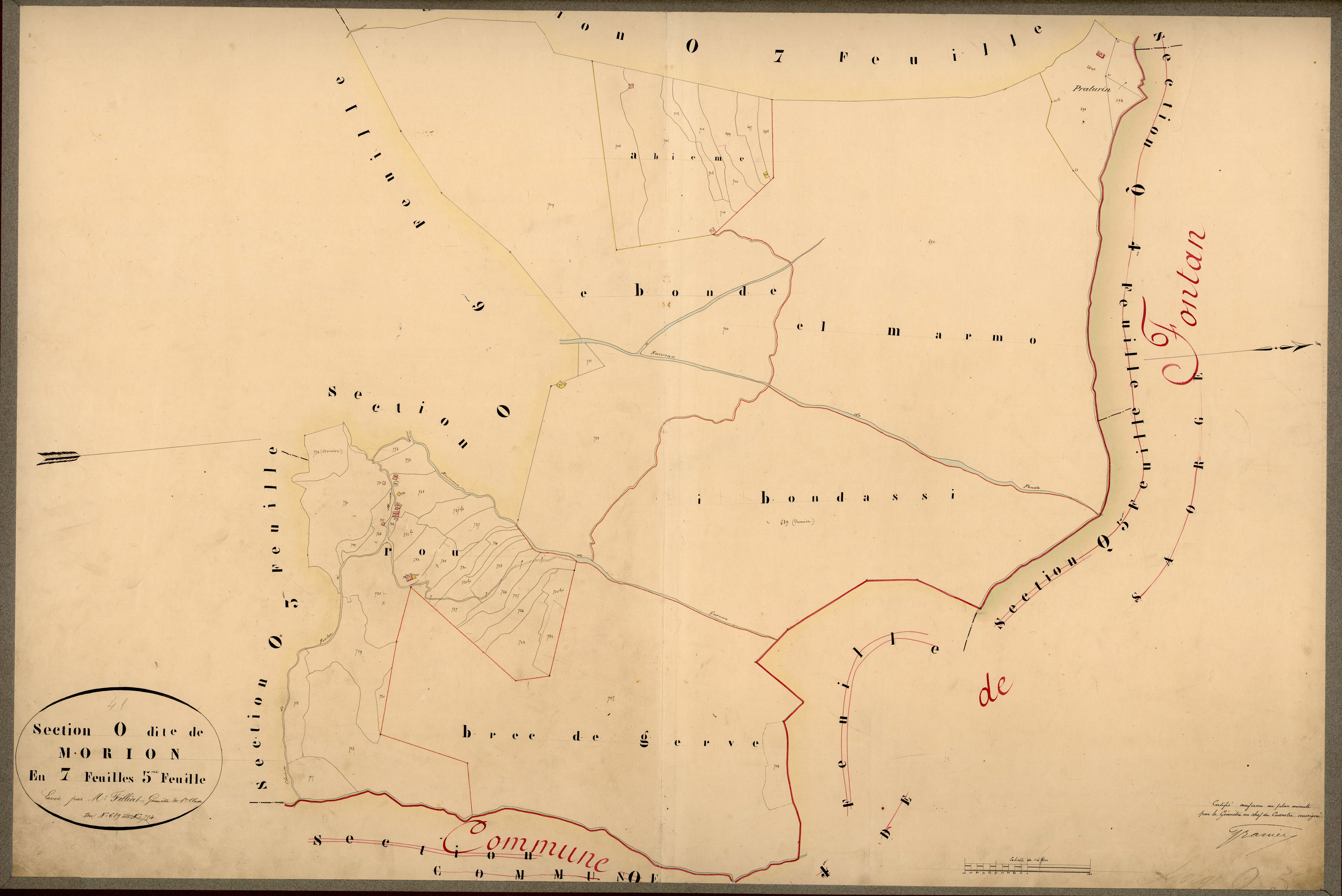 Morion. - Plan de section, O5