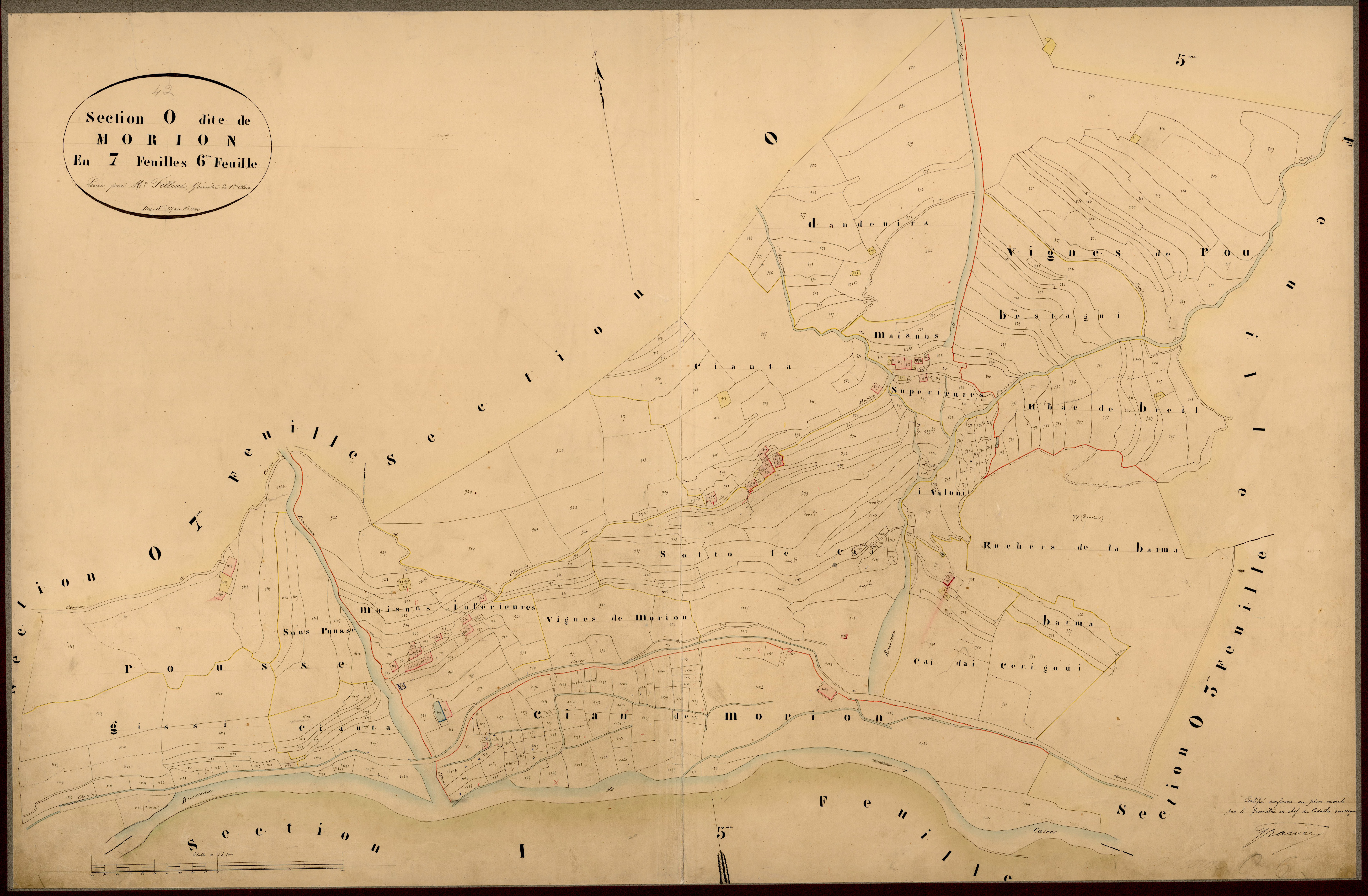 Morion. - Plan de section, O6
