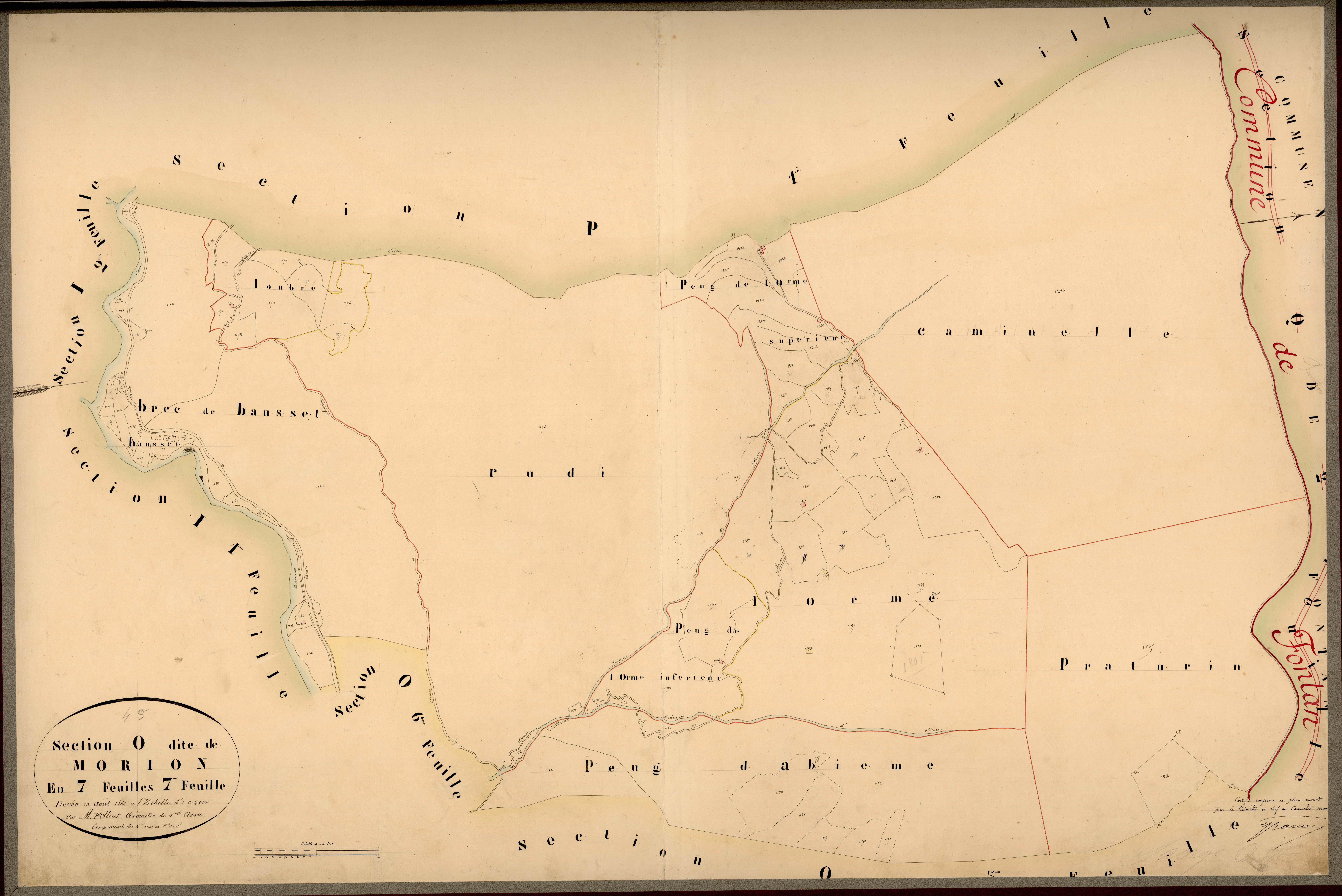 Morion. - Plan de section, O7