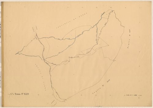 Plan de section, XLV