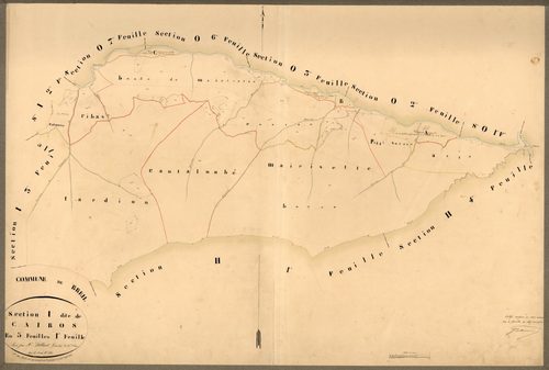 Cairos. - Plan de section, I1