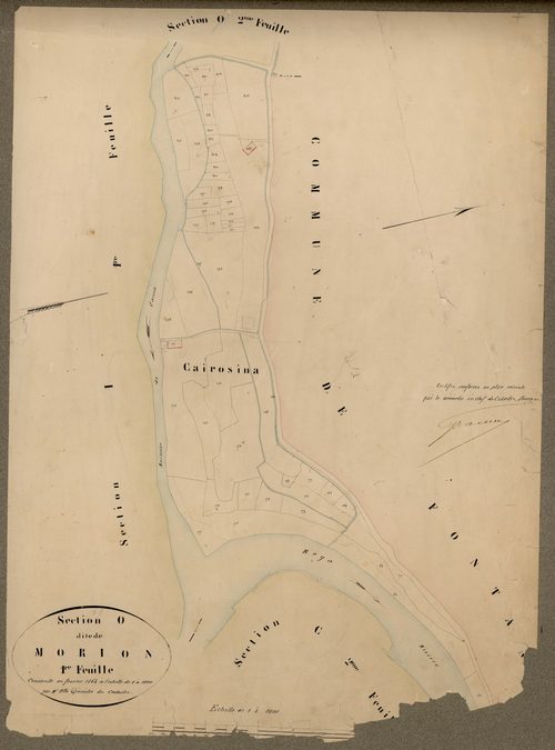 Morion. - Plan de section, O1