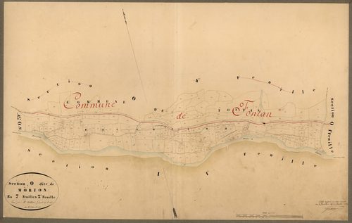 Morion. - Plan de section, O2