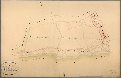 Morion. - Plan de section, O3