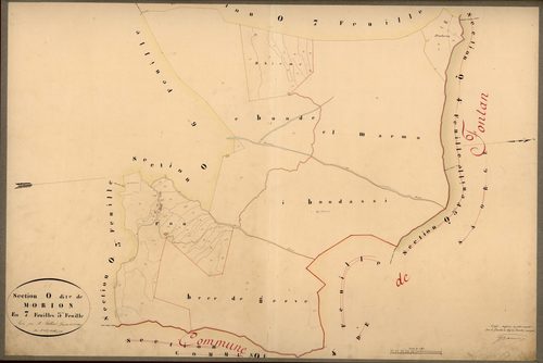 Morion. - Plan de section, O5