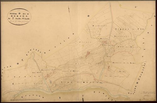 Morion. - Plan de section, O6