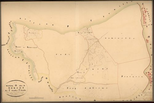 Morion. - Plan de section, O7