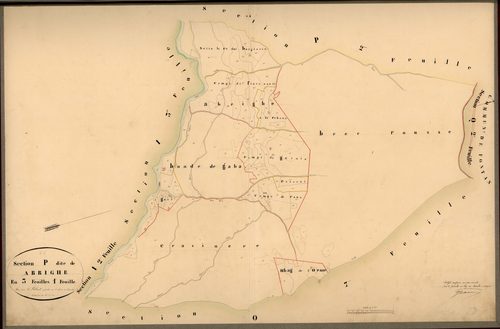 Abrighe. - Plan de section, P1