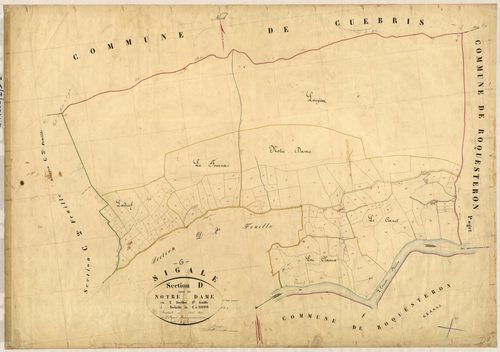 Notre-Dame. - Plan de section, D1