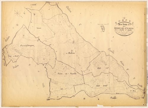 Rossignol et Sainte-Sabine. - Plan de section, B5