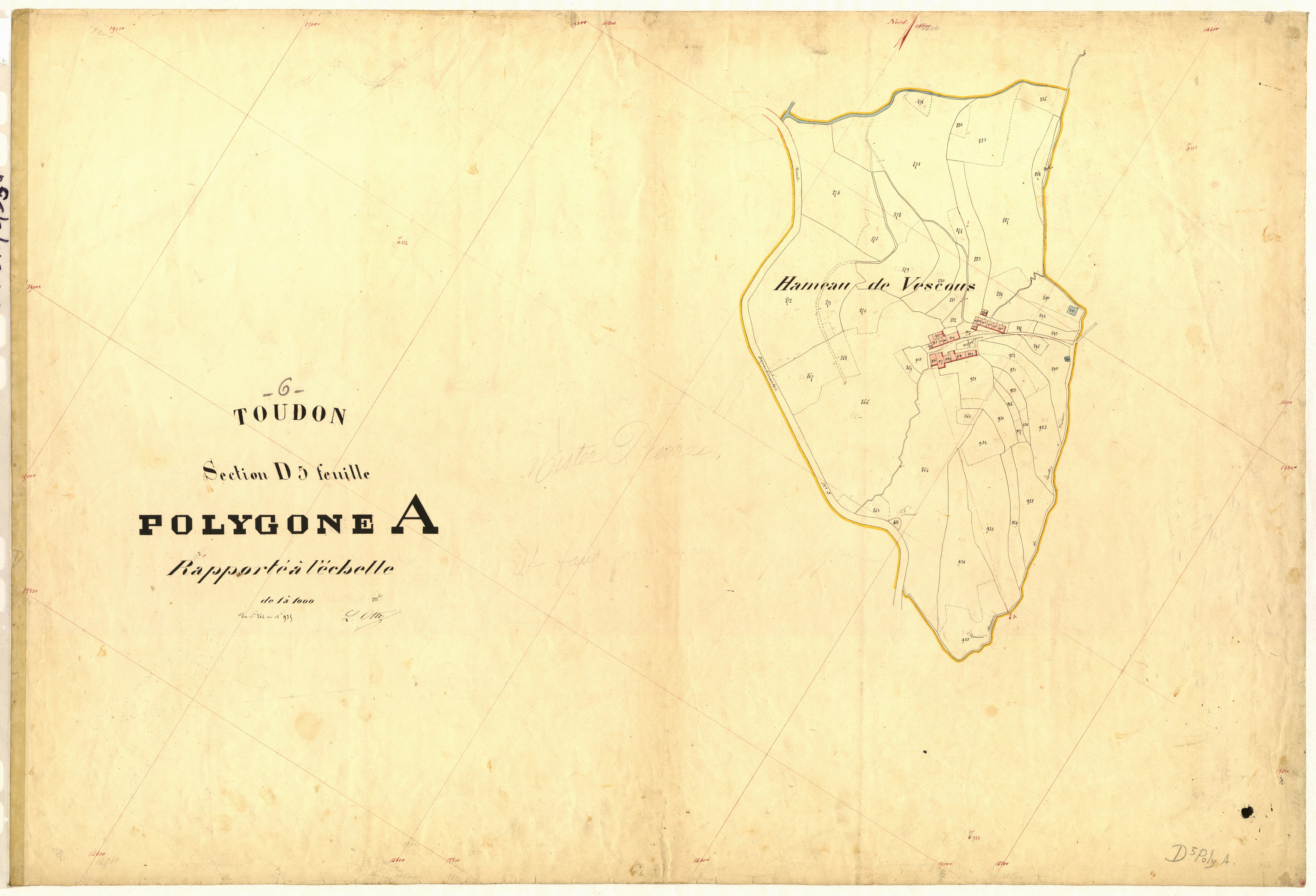 Vescous (développement). - Plan de section, D5(d)