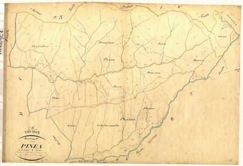 Pinea. - Plan de section, C1