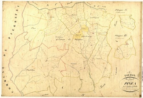 Pinea. - Plan de section, C2