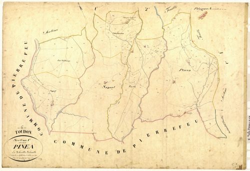 Pinea. - Plan de section, C3