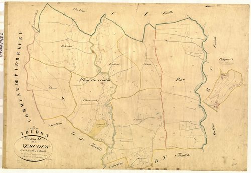 Vescous. - Plan de section, D1