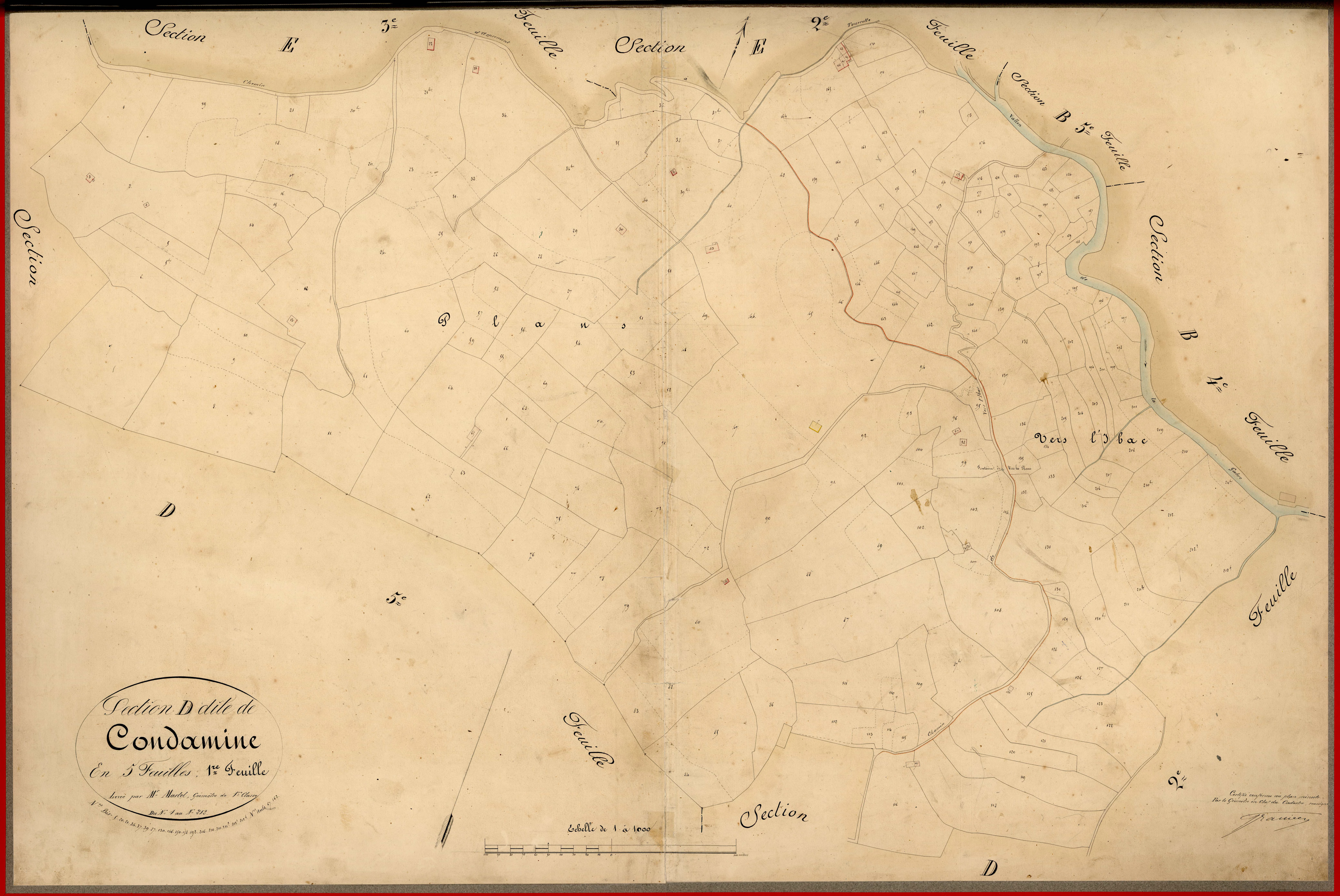 Condamine. - Plan de section, D1