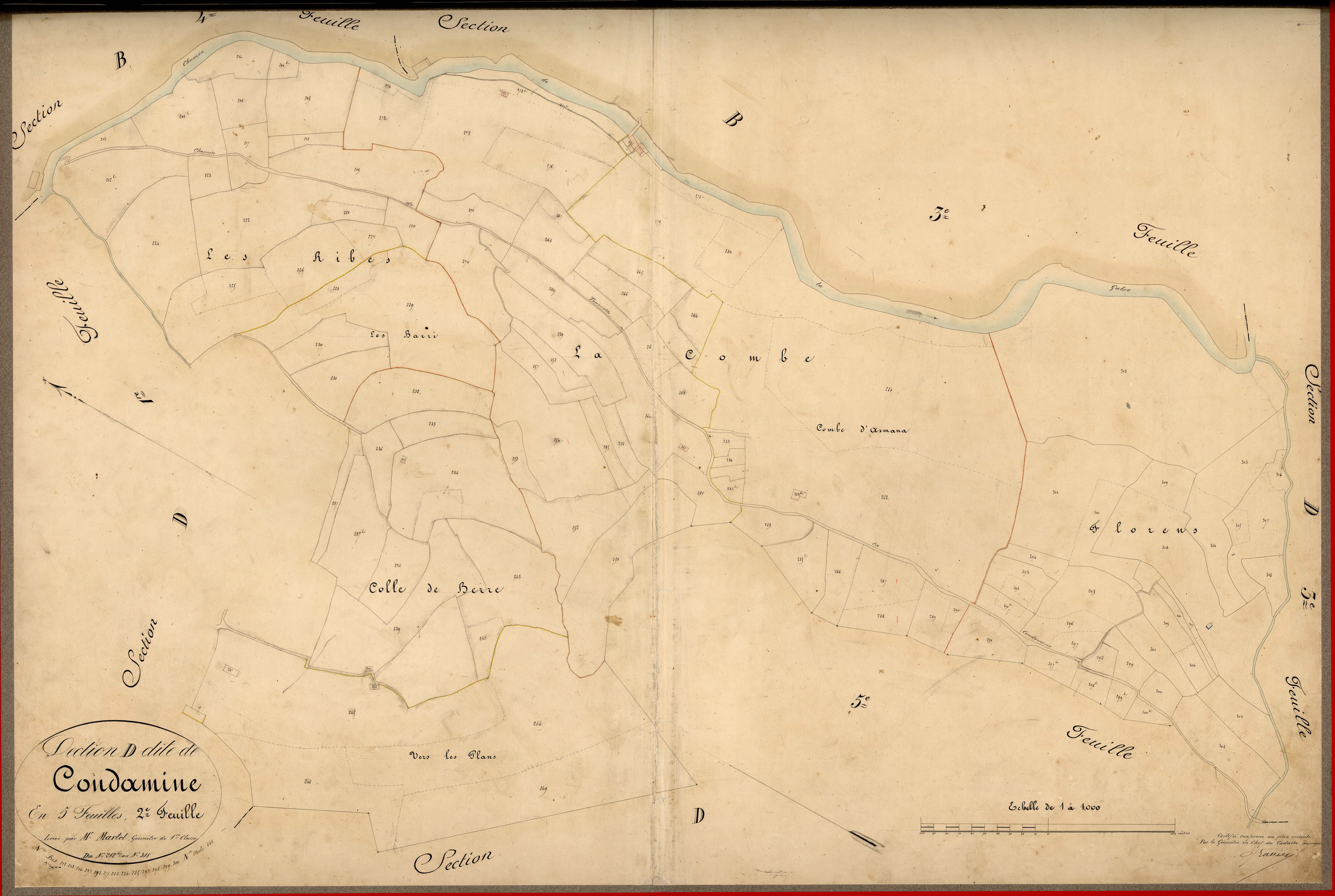 Condamine. - Plan de section, D2