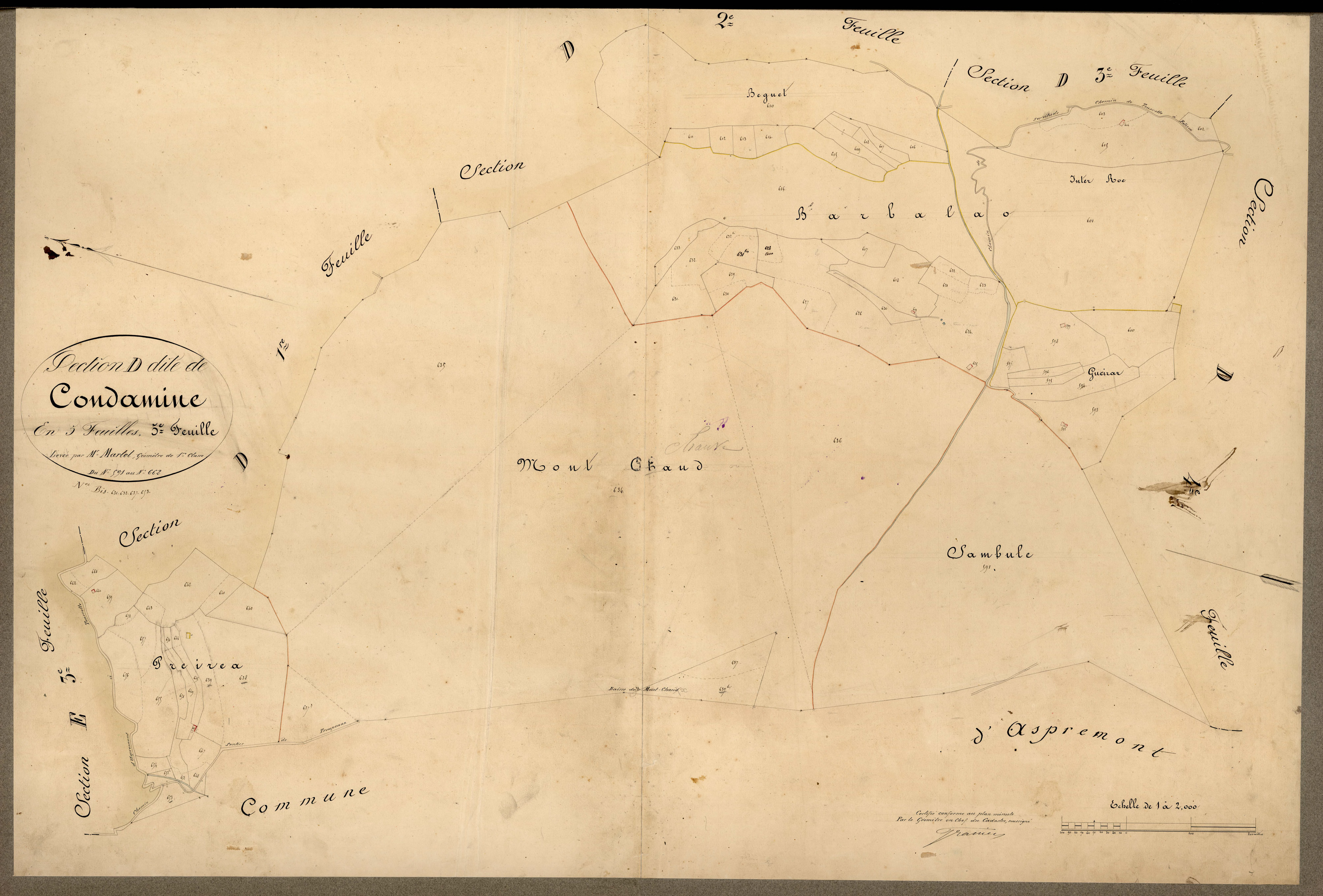 Condamine. - Plan de section, D5