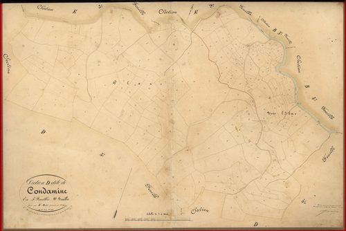 Condamine. - Plan de section, D1