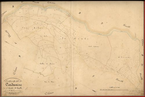 Condamine. - Plan de section, D2