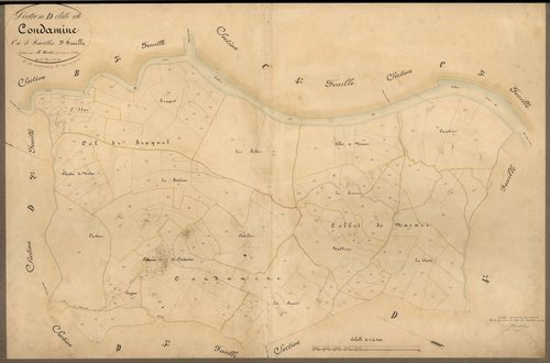 Condamine. - Plan de section, D3