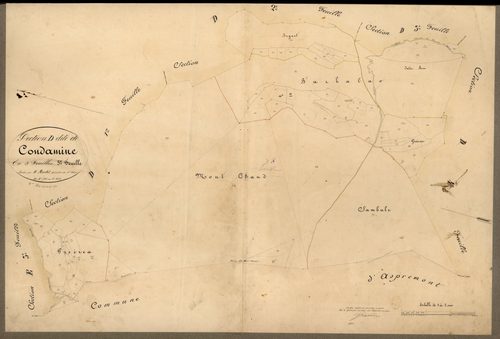Condamine. - Plan de section, D5