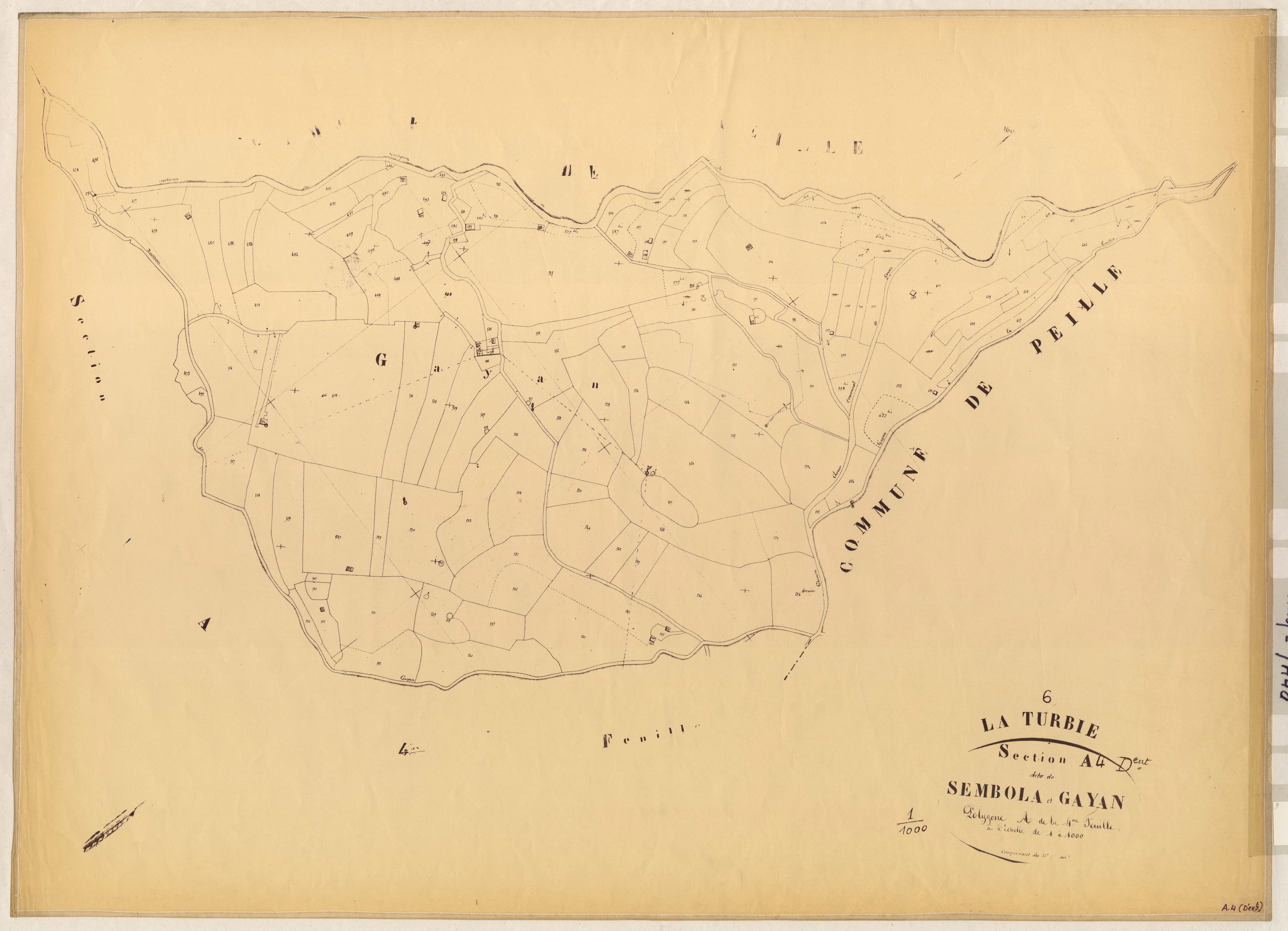 Sembola et Gayan (développement). - Plan de section, A4(d)