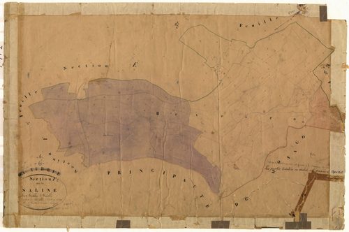 Saline. - Plan de section, F1