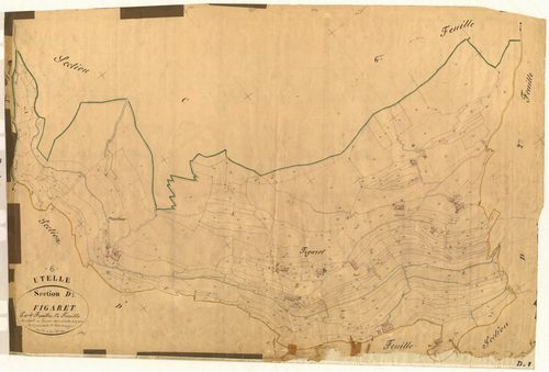Figaret. - Plan de section, D1