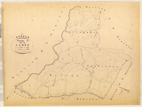 Le Campo. - Plan de section, N1