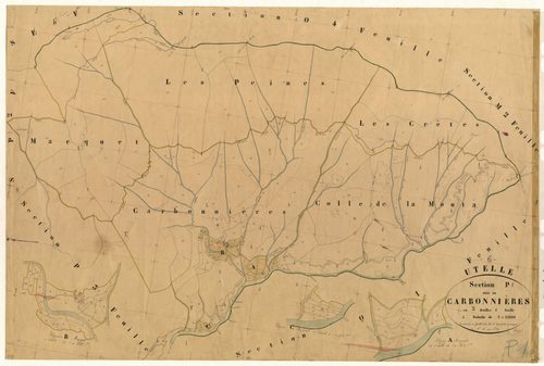 Carbonnières. - Plan de section, P1