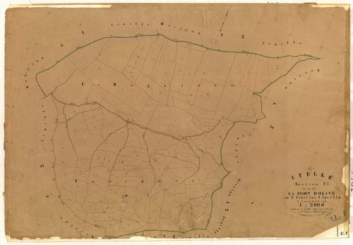 La Fuont d'Olive. - Plan de section, U1