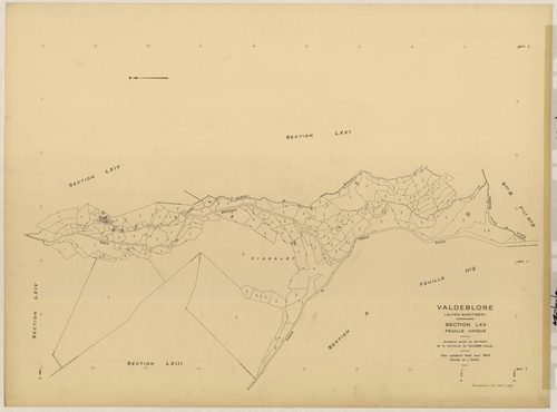 Plan de section, LXV