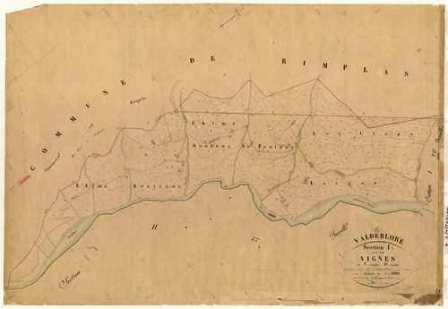 Les Vignes. - Plan de section, I1