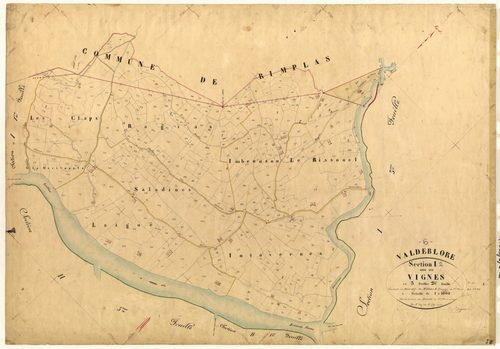 Les Vignes. - Plan de section, I2
