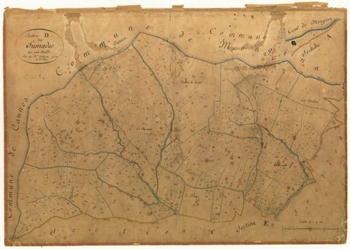 Les Fumades. - Plan de section, D