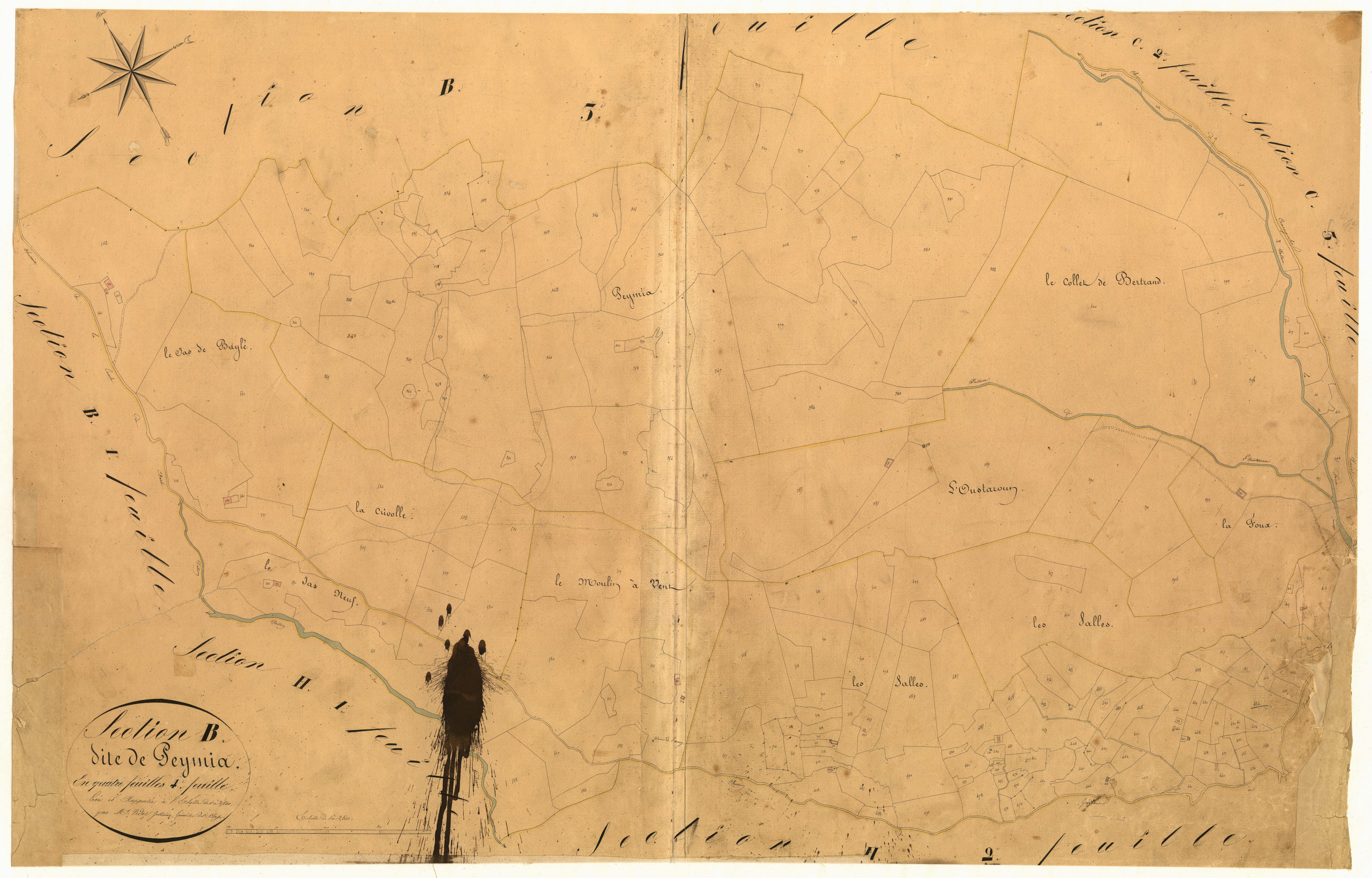 Peymia. - Plan de section, B4