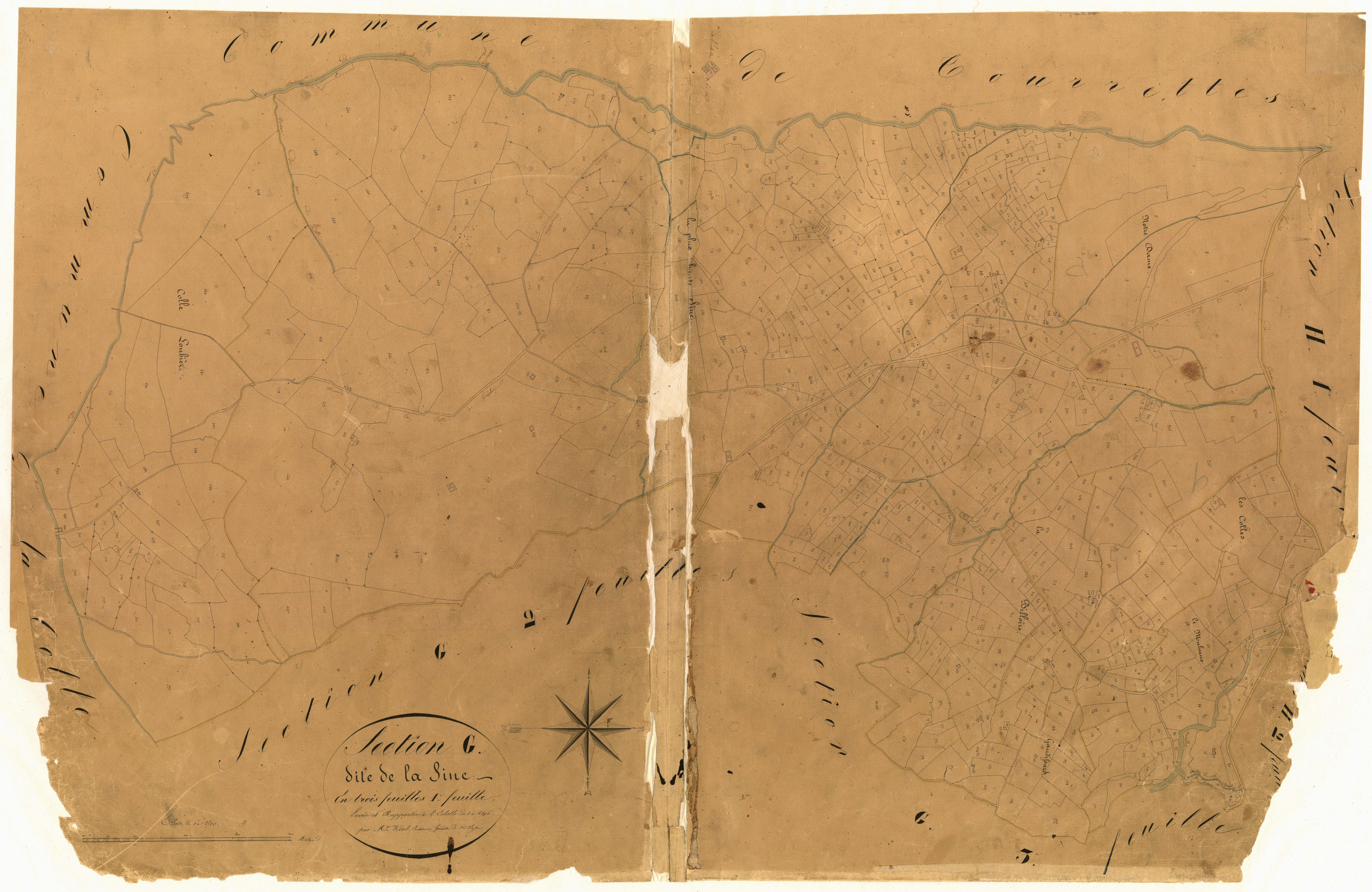 La Sine. - Plan de section, G1