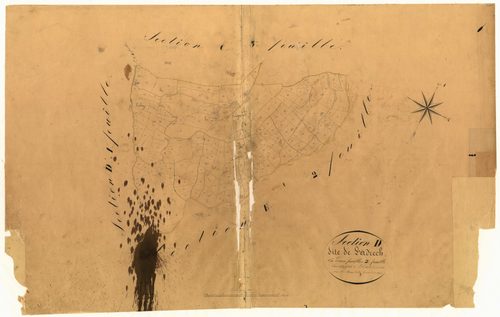 L'Adrech. - Plan de section, D2
