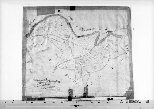 Le Loubet. - Plan de section, C1